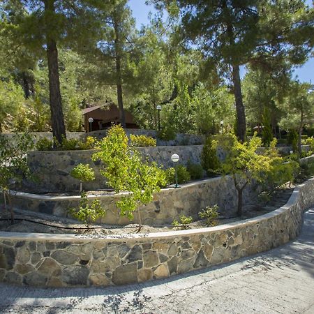 Ricky Chalet Near Troodos Szpília Kültér fotó