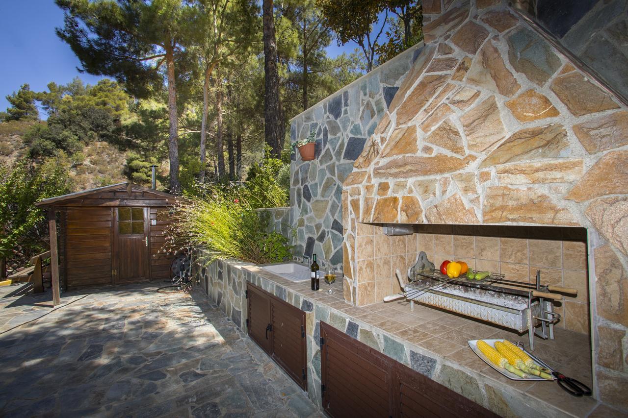 Ricky Chalet Near Troodos Szpília Kültér fotó