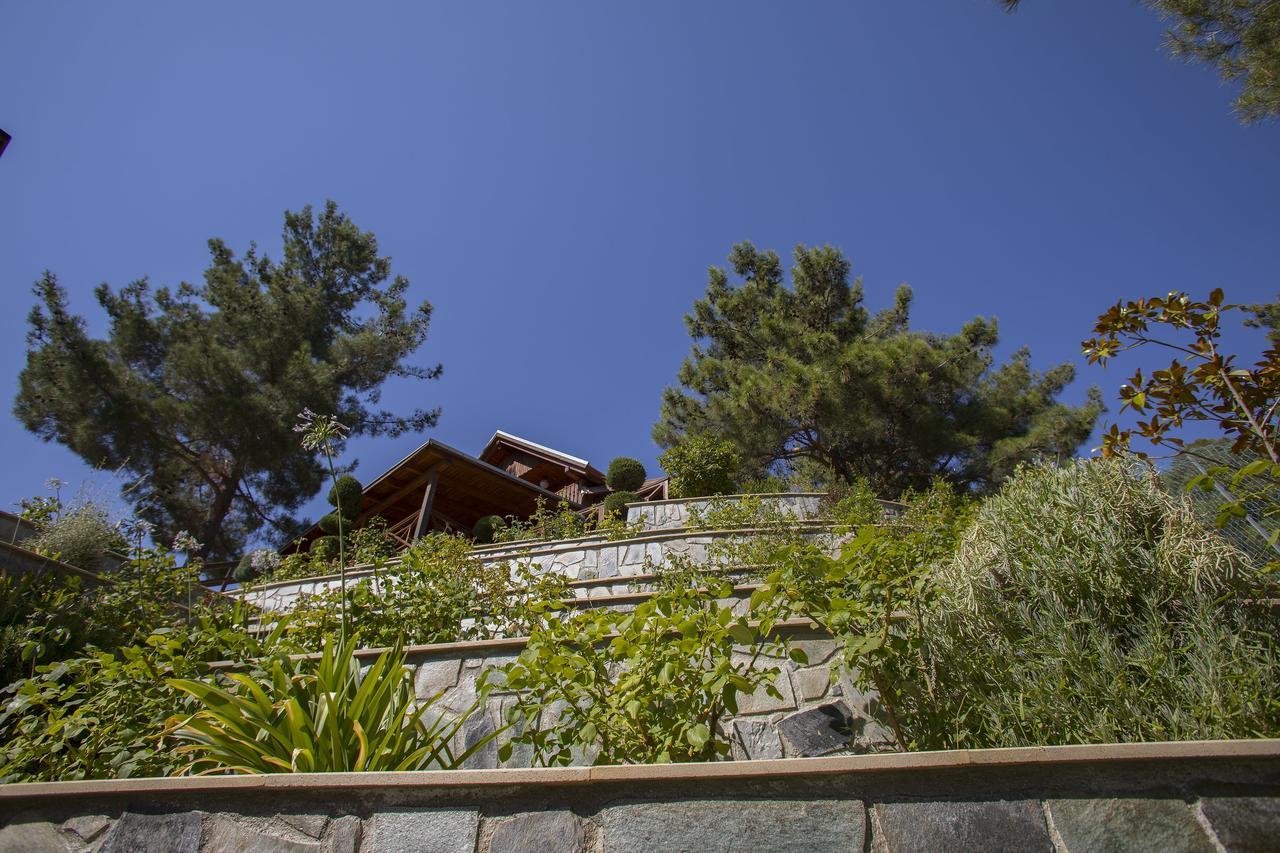 Ricky Chalet Near Troodos Szpília Kültér fotó