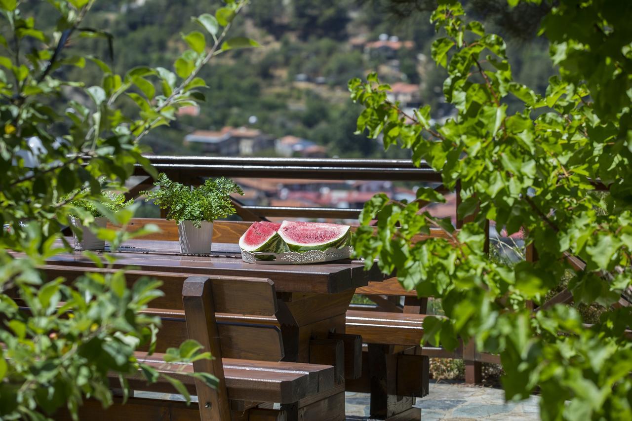 Ricky Chalet Near Troodos Szpília Kültér fotó