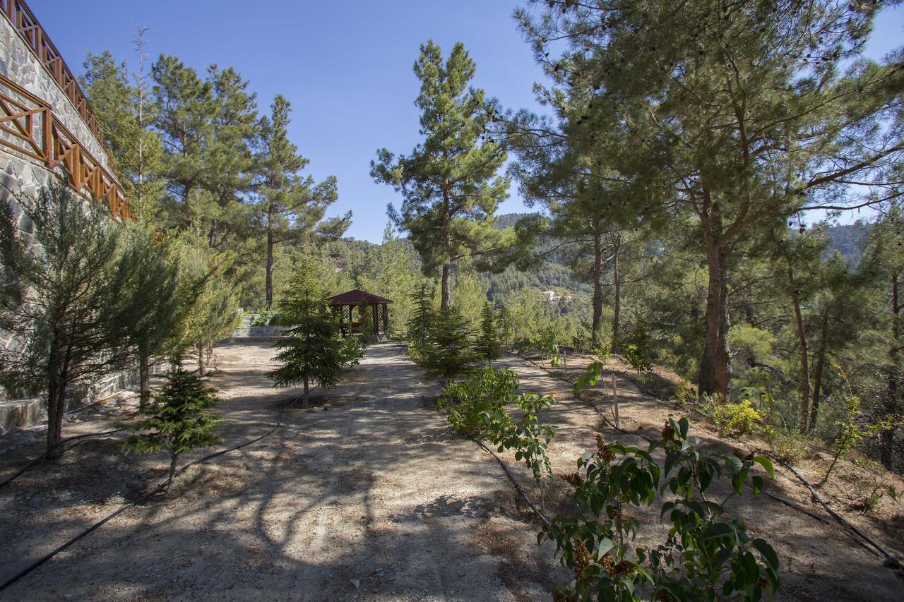 Ricky Chalet Near Troodos Szpília Kültér fotó