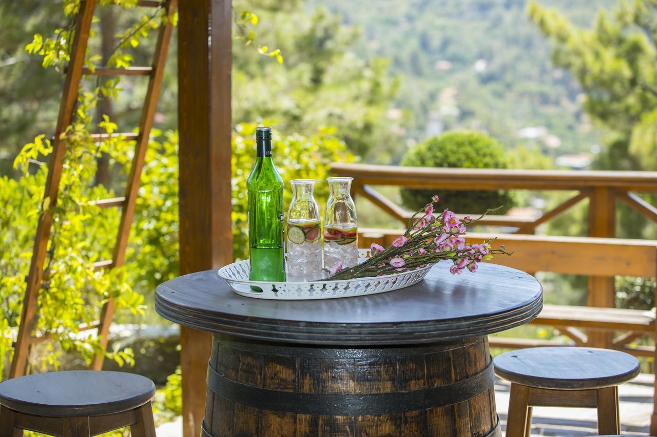 Ricky Chalet Near Troodos Szpília Kültér fotó