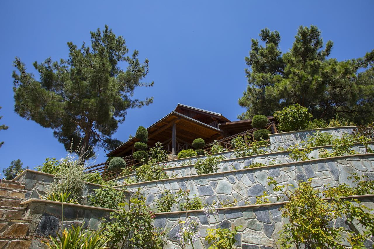 Ricky Chalet Near Troodos Szpília Kültér fotó