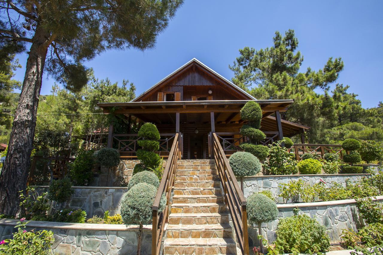 Ricky Chalet Near Troodos Szpília Kültér fotó