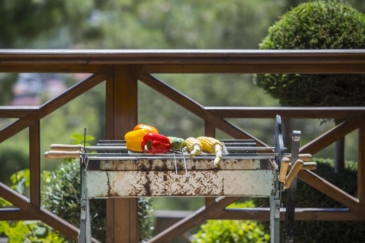 Ricky Chalet Near Troodos Szpília Kültér fotó