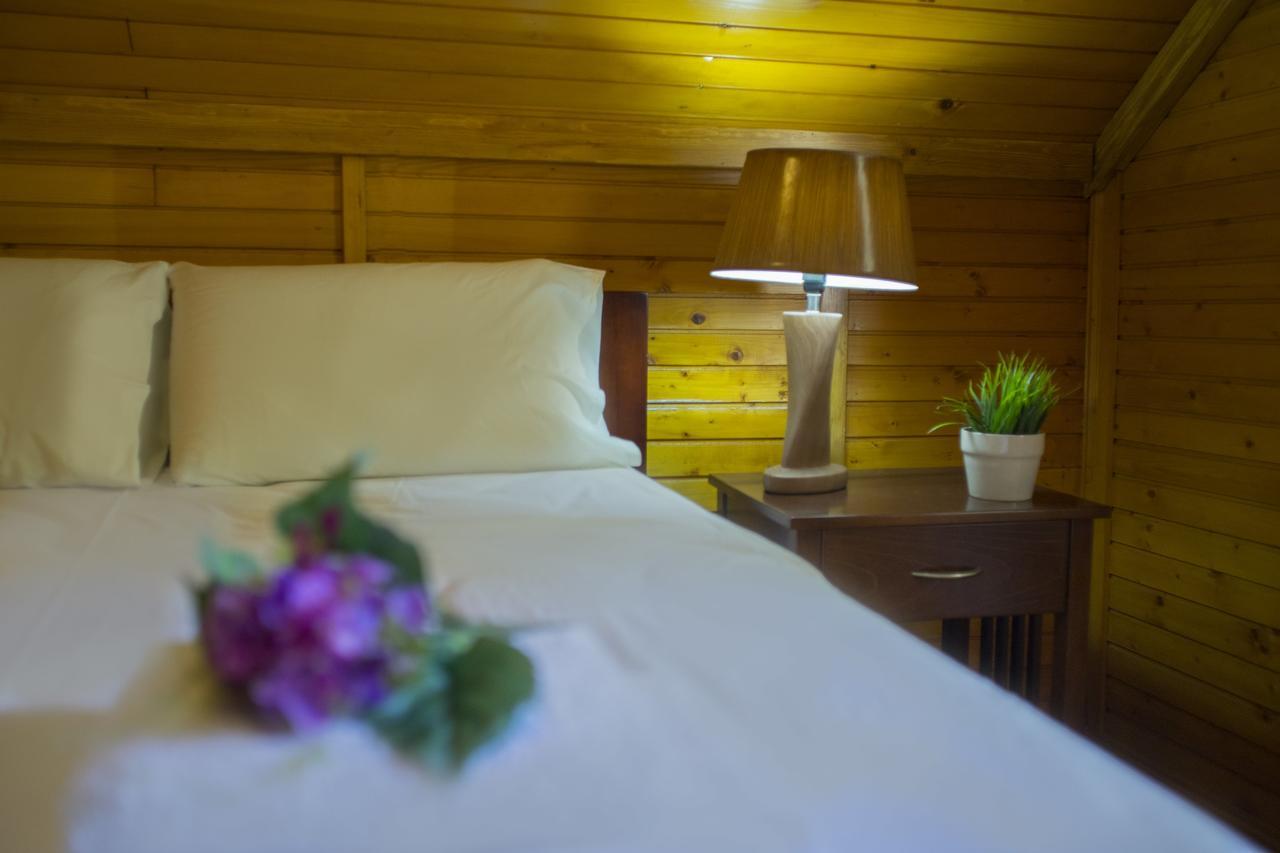 Ricky Chalet Near Troodos Szpília Kültér fotó