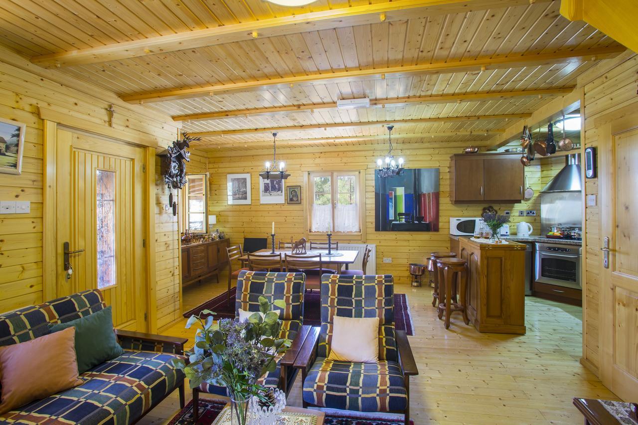 Ricky Chalet Near Troodos Szpília Kültér fotó