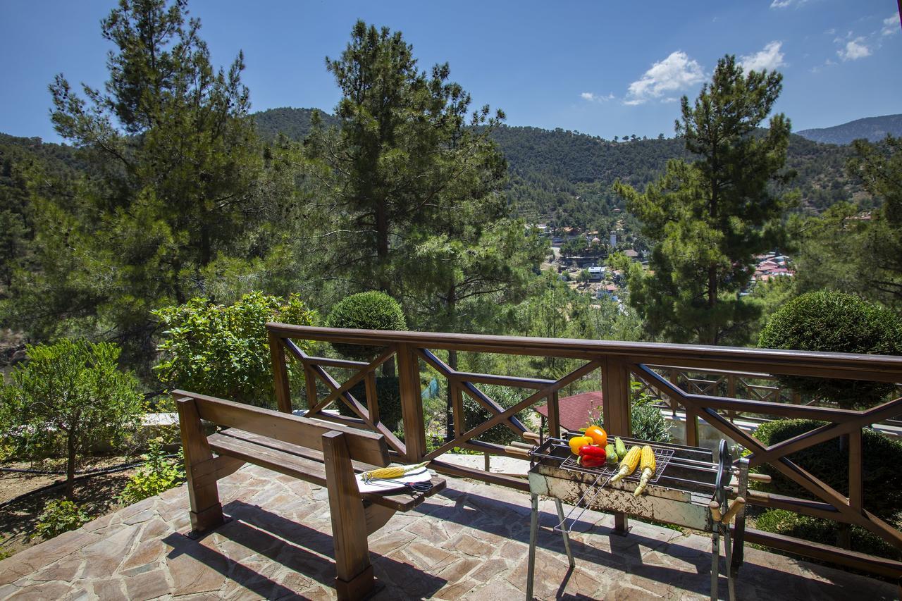 Ricky Chalet Near Troodos Szpília Kültér fotó