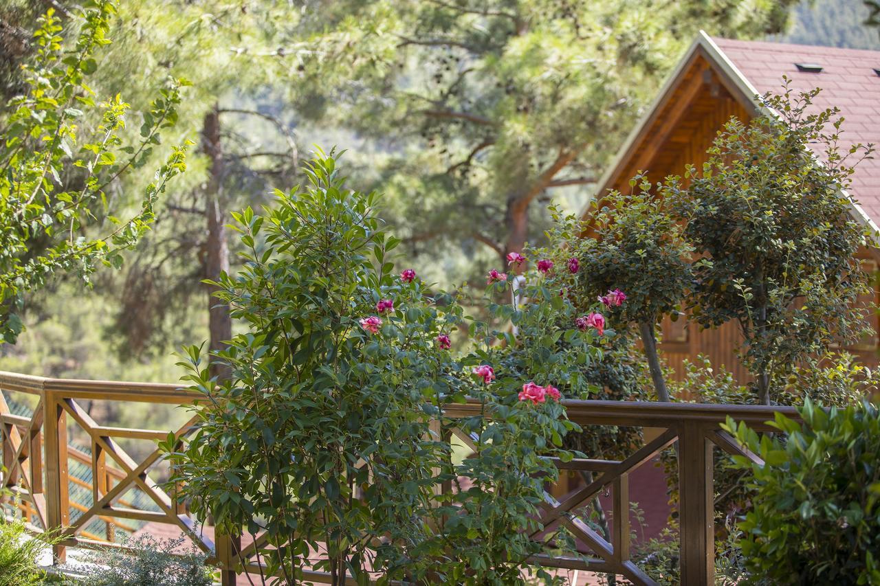 Ricky Chalet Near Troodos Szpília Kültér fotó