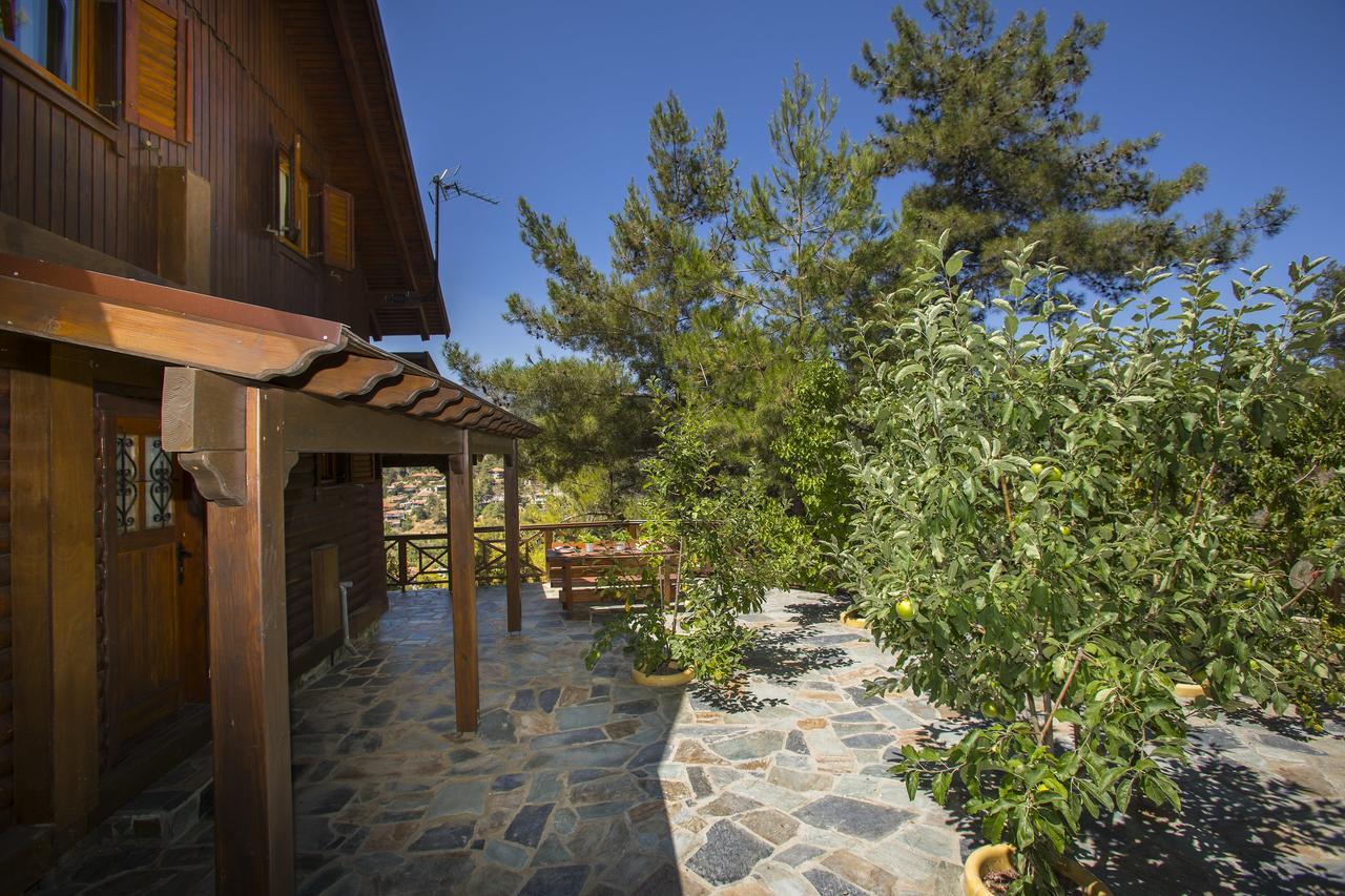 Ricky Chalet Near Troodos Szpília Kültér fotó
