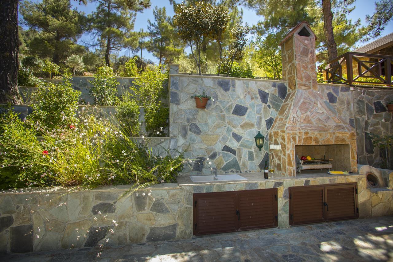 Ricky Chalet Near Troodos Szpília Kültér fotó
