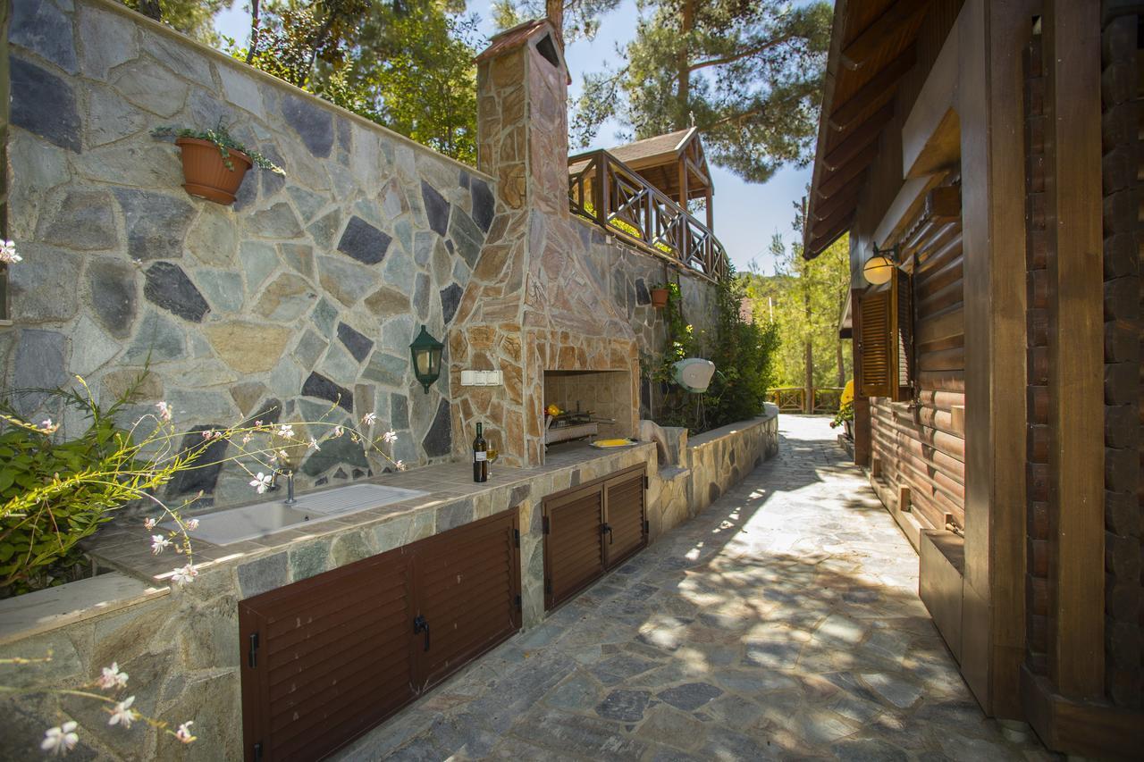 Ricky Chalet Near Troodos Szpília Kültér fotó
